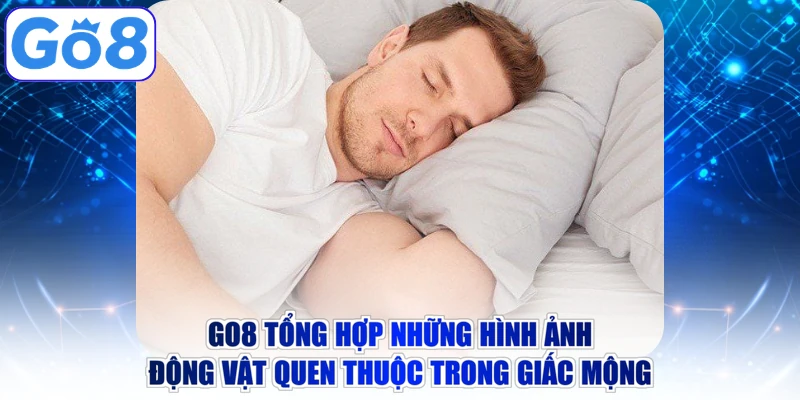 Go8 tổng hợp những hình ảnh động vật quen thuộc trong giấc mộng