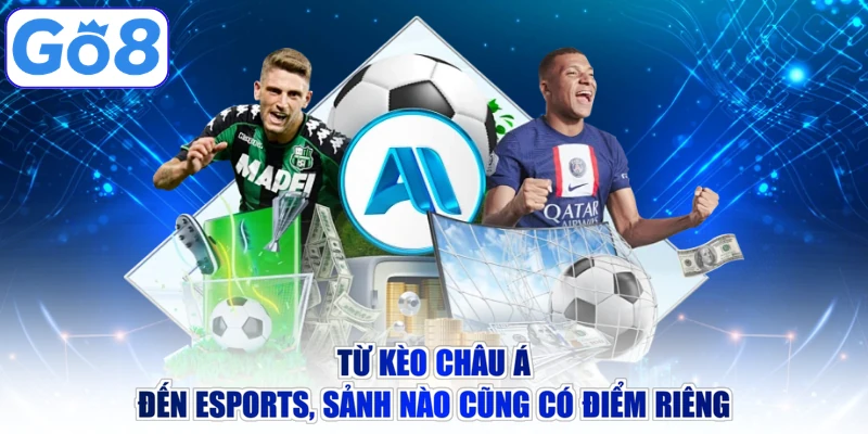 Từ kèo châu Á đến esports, sảnh nào cũng có điểm riêng